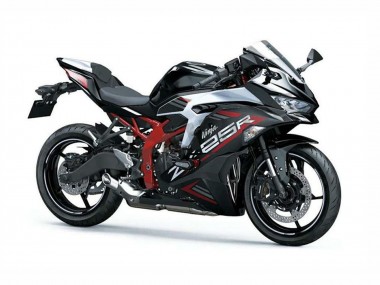 2019-2025 Kawasaki ZX25R ZX-25R Motorcycle Fairings - Silver Red Black
