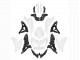 2022-2025 Kawasaki Versys 650 Motorcycle Fairings - White