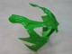 2000-2001 Kawasaki ZX9R Motorcycle Fairings - Green Silver Black