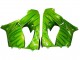 2000-2001 Kawasaki ZX9R Motorcycle Fairings - Green Flame