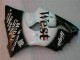 Black West Ninja 2000-2002 Kawasaki ZX6R Motorcycle Fairings Black West Ninja 2000-2002 Kawasaki ZX6R Motorcycle Fairings