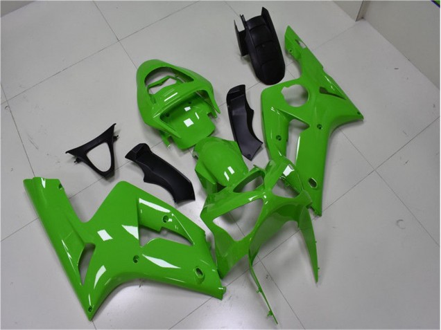 Green 2003-2004 Kawasaki ZX6R Motorcycle Fairing Green 2003-2004 Kawasaki ZX6R Motorcycle Fairing