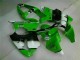 Green Black 2000-2002 Kawasaki ZX6R Motorcycle Fairing & Bodywork Green Black 2000-2002 Kawasaki ZX6R Motorcycle Fairing & Bodywork