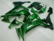 Green Flame 2008-2010 Kawasaki ZX10R Motorcycle Fairings Green Flame 2008-2010 Kawasaki ZX10R Motorcycle Fairings