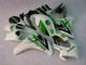 Green White 2008-2011 Honda CBR1000RR Motorcycle Bodywork Green White 2008-2011 Honda CBR1000RR Motorcycle Bodywork
