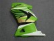 Green White Black Ninja 2008-2012 Kawasaki EX250 Motorcycle Fairings Green White Black Ninja 2008-2012 Kawasaki EX250 Motorcycle Fairings