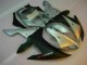 Silver 2002-2003 Yamaha YZF R1 Motorcycle Fairing Silver 2002-2003 Yamaha YZF R1 Motorcycle Fairing